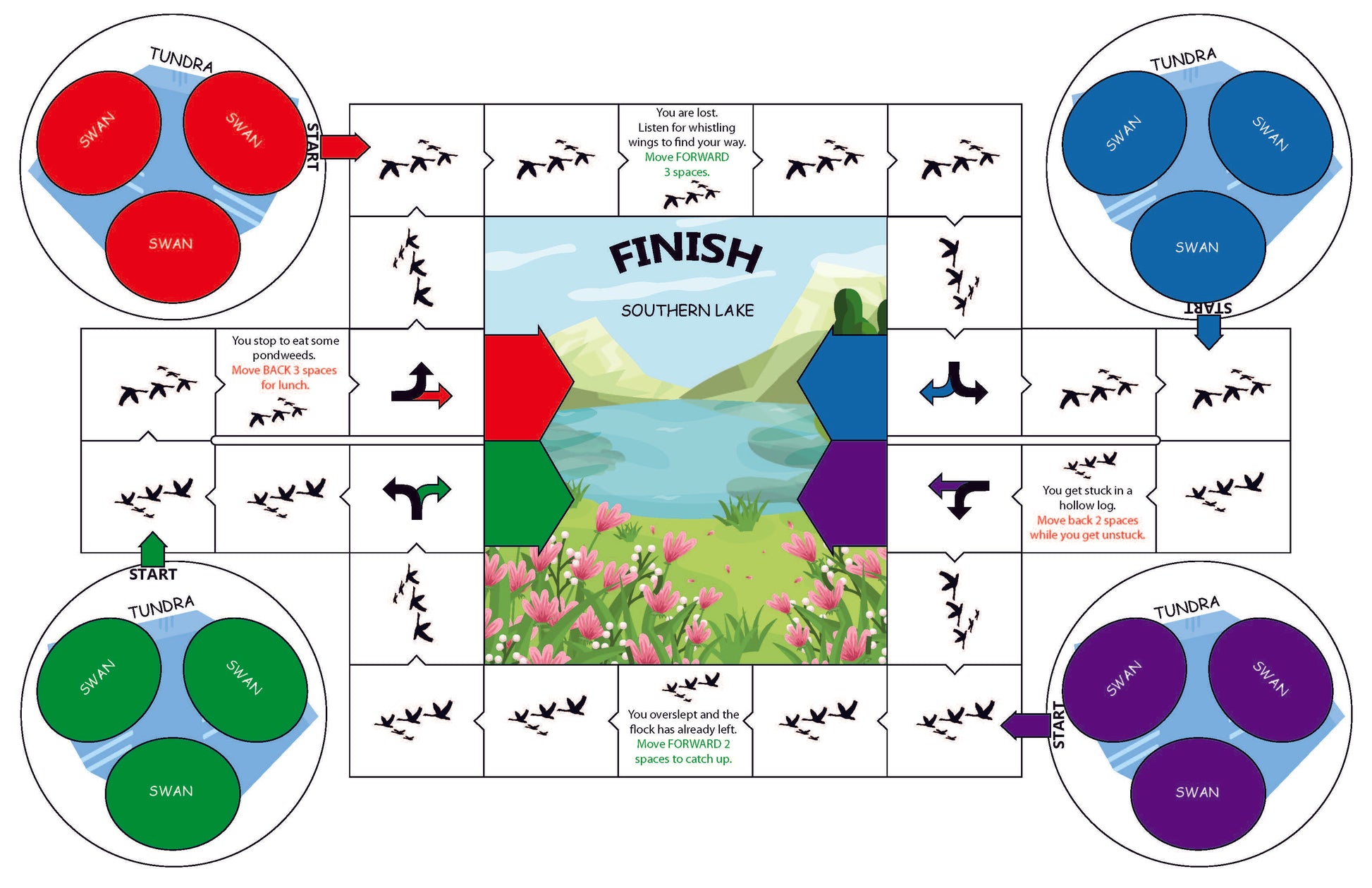 Swan migration board game