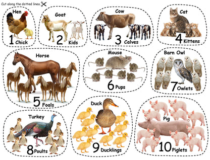 Ivy Kids Kit - Over on the Farm