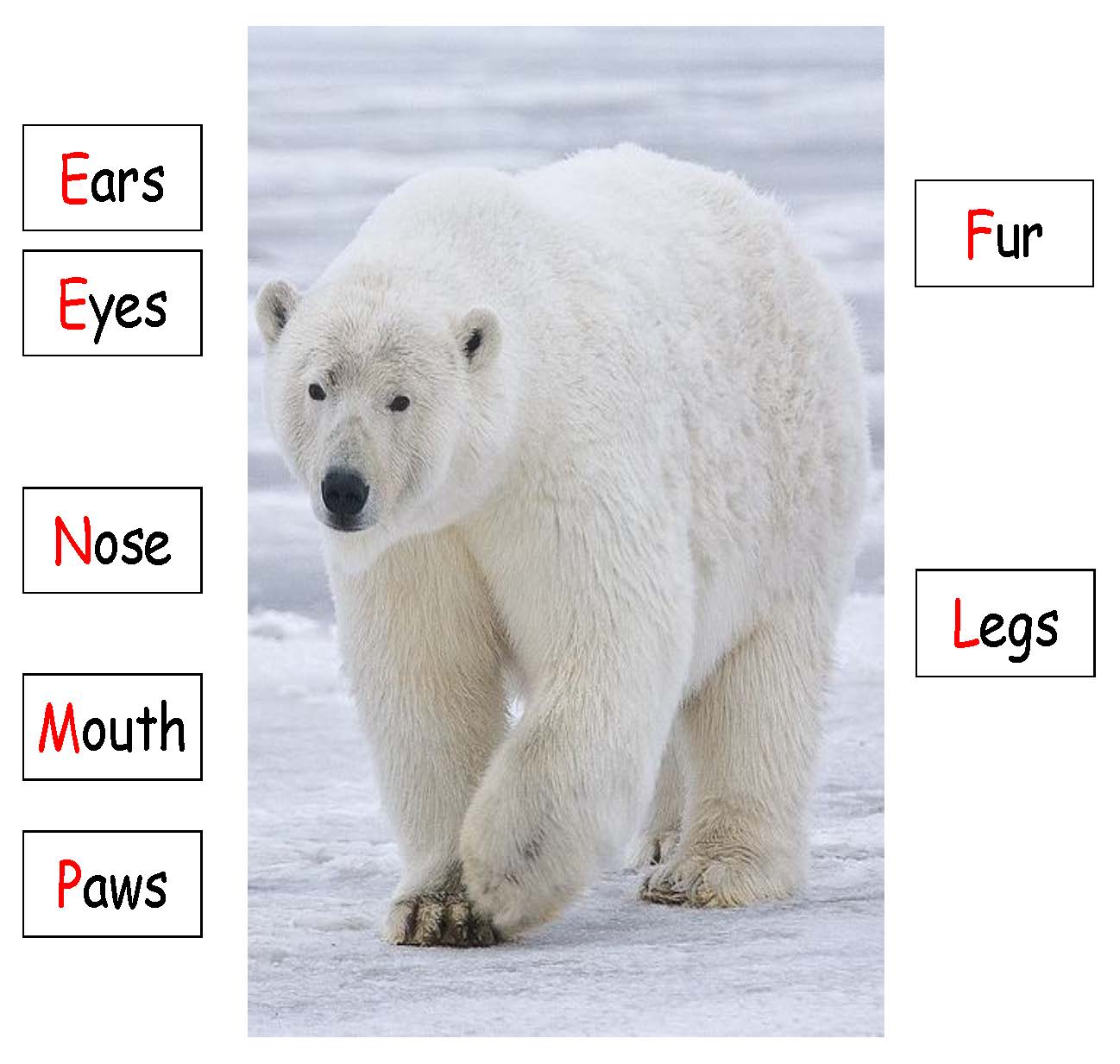 Ivy Kids kit - The Three Snow Bears
