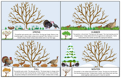 turkeys and the seasons